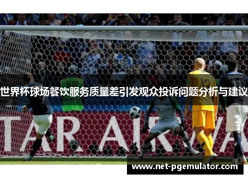 世界杯球场餐饮服务质量差引发观众投诉问题分析与建议
