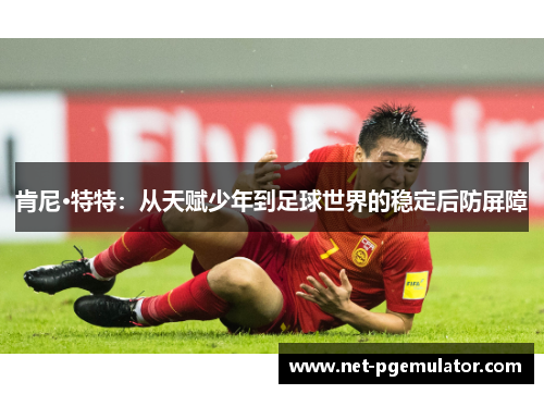 肯尼·特特：从天赋少年到足球世界的稳定后防屏障