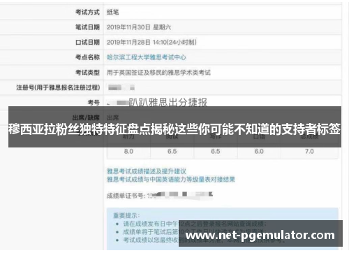 穆西亚拉粉丝独特特征盘点揭秘这些你可能不知道的支持者标签