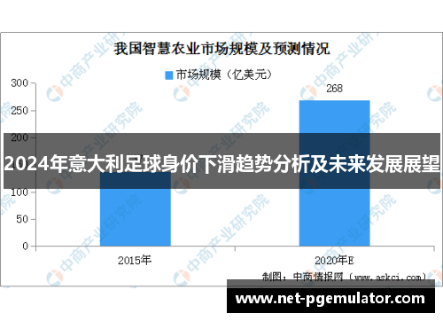 2024年意大利足球身价下滑趋势分析及未来发展展望